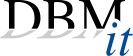 DBM-IT Logo